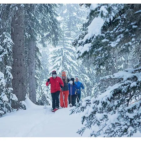 Les Proveres - Meribel-mottaret Les Allues